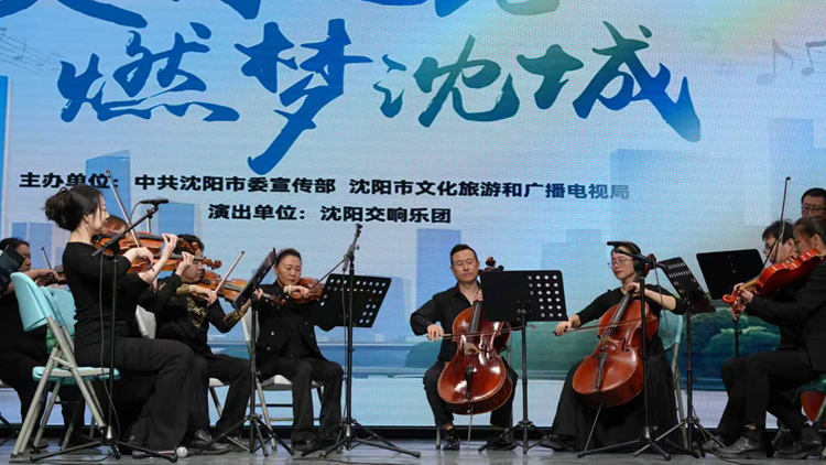 以乐润心 美育赋能——我校举行高雅艺术进校园活动