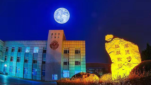 十二时辰，藏在时光里的诗意沈体