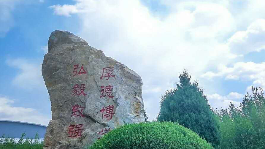 当成语与沈体相遇