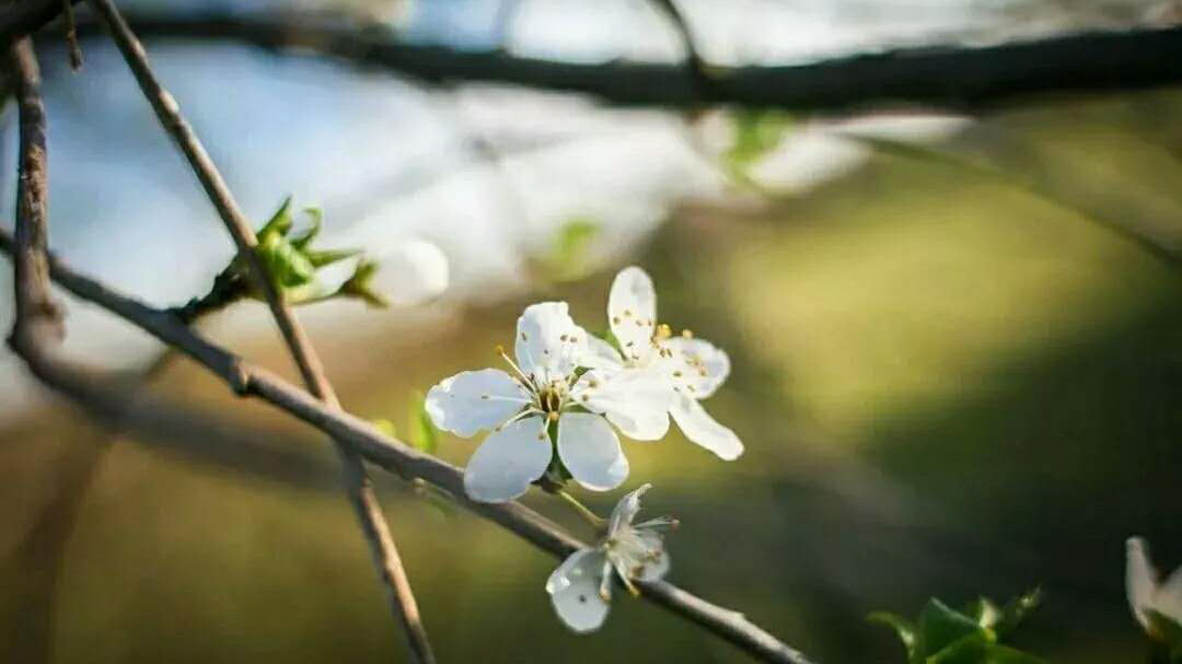 与沈体的26种情缘，快趁大好春光解锁吧